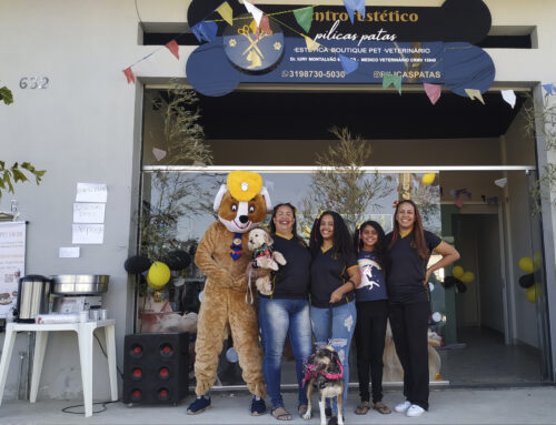 CENTRO ESTÉTICO PILICAS PATAS PROMOVE ARRAIÁ DE PETS