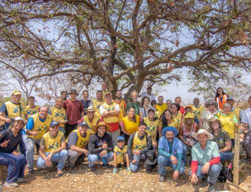 PROGRAMA HUMANITÁRIO “MÃOS QUE AJUDAM” REALIZOU AÇÃO DE PLANTIO DE ÁRVORES EM CONTAGEM