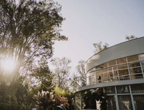 UM PARQUE PARA TODOS: REVITALIZAÇÃO, EXPOSIÇÕES E NOVOS ESPAÇOS NO PARQUE DO PALÁCIO