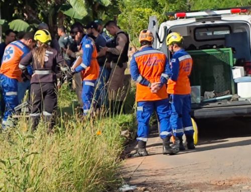 ONÇA MOBILIZA FORÇA-TAREFA E SEGUE DESAPARECIDA EM ESMERALDAS