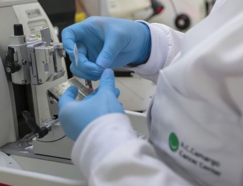 SUS PASSARÁ A OFERECER NOVA TERAPIA PARA ADULTOS COM LEUCEMIA MIELOIDE AGUDA